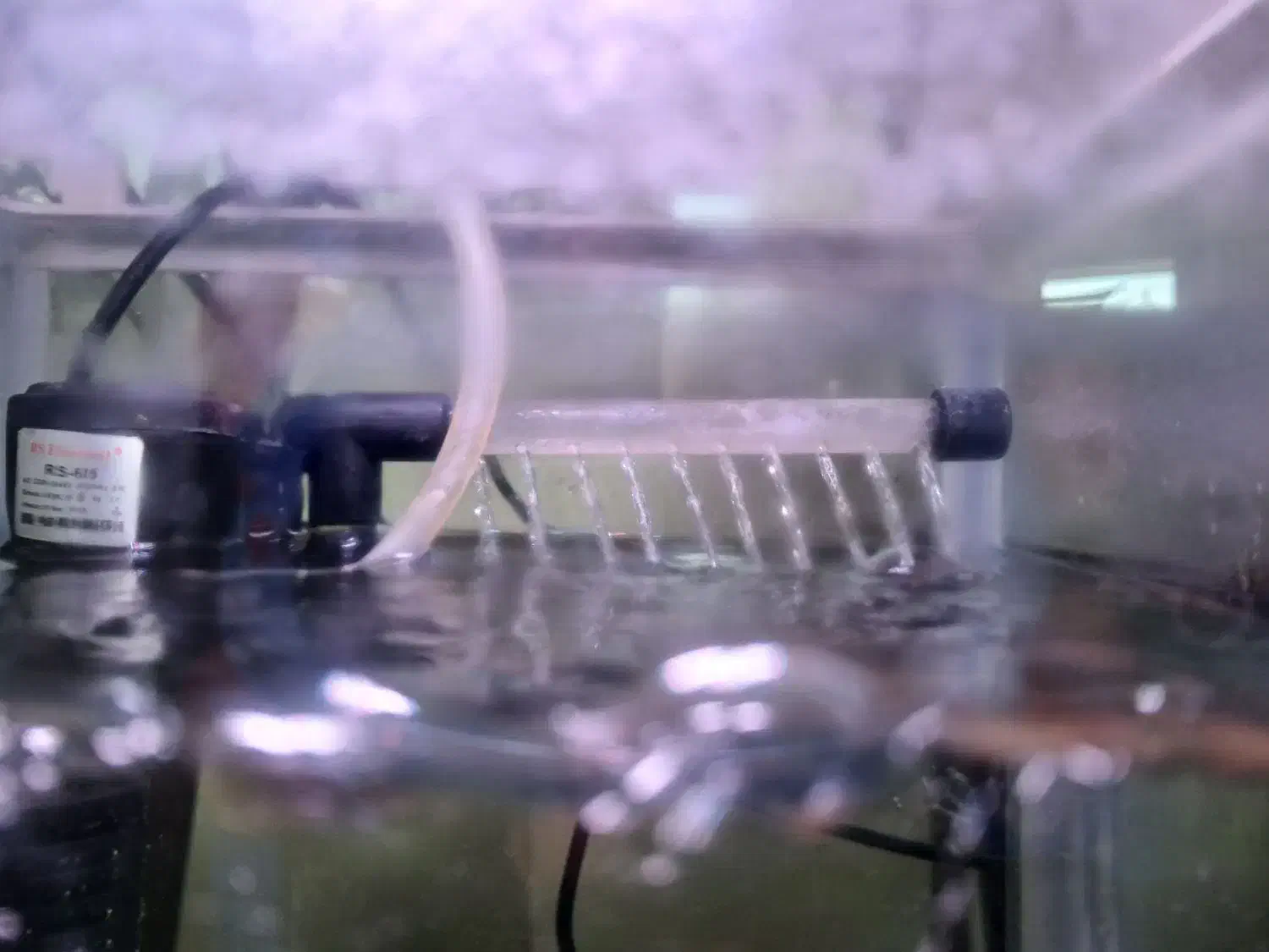 اکواریوم دلسا|ماهی|شیراز, لشکری|دیوار