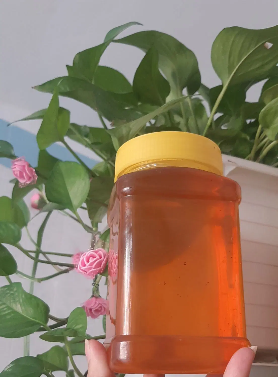 عسل|خوردنی و آشامیدنی|مهران (ایلام), |دیوار