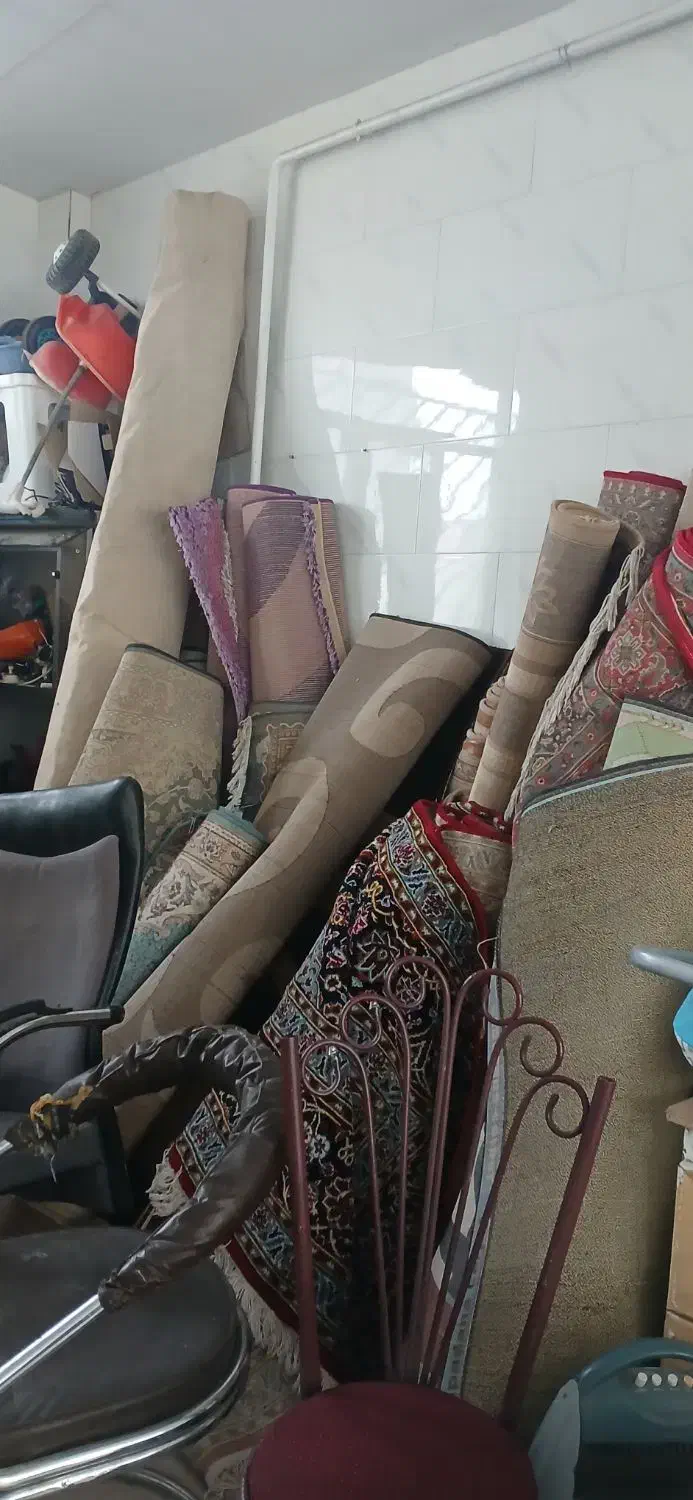 فرش و گلیم|فرش|سنندج, |دیوار