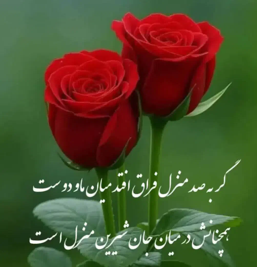 فروش زمین ۳۸۴ متری در هنرستان|فروش زمین و ملک کلنگی|قم, هنرستان|دیوار