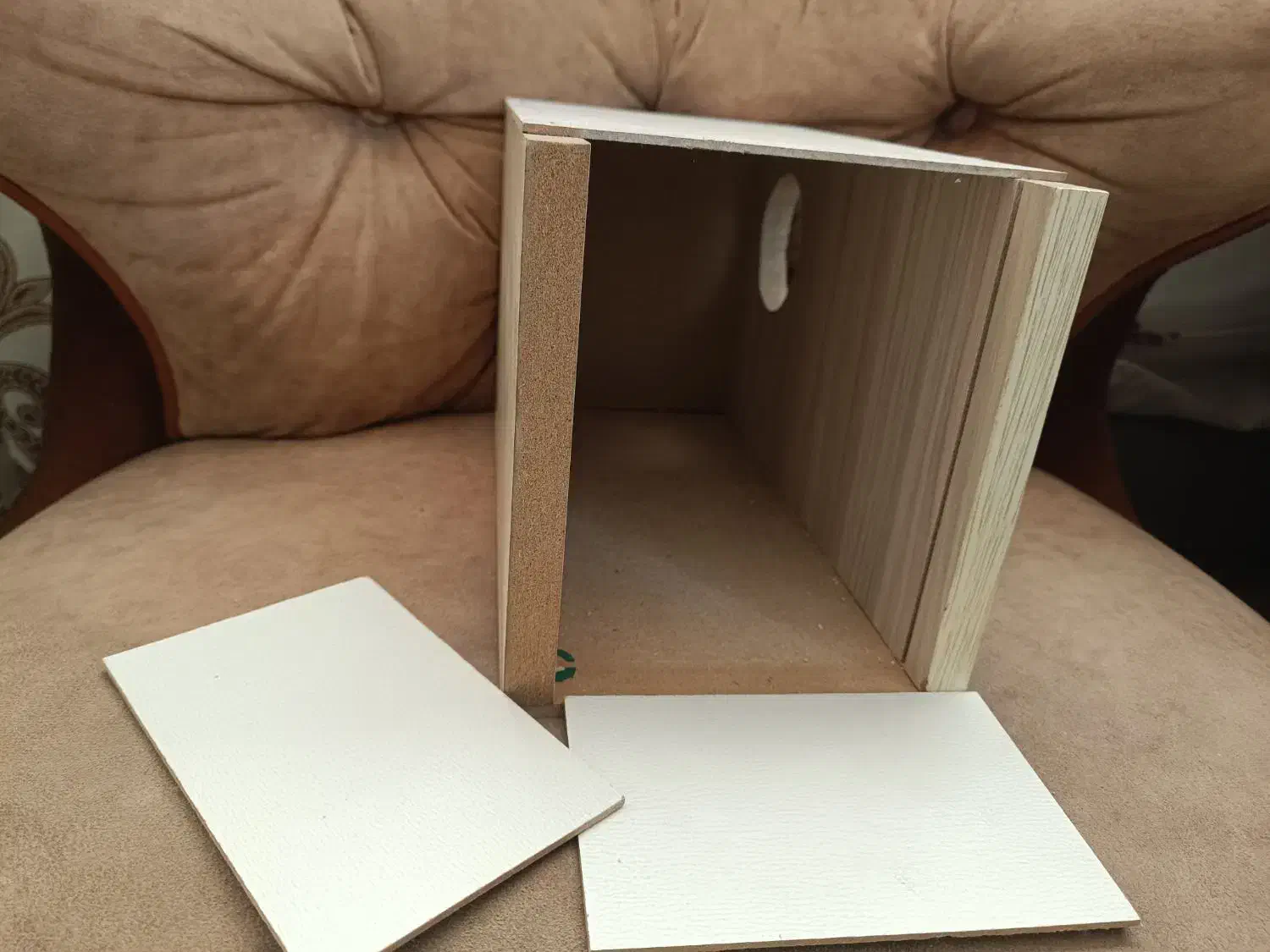 آغول عروس هلندی|لوازم جانبی حیوانات|مشهد, ویلاشهر|دیوار