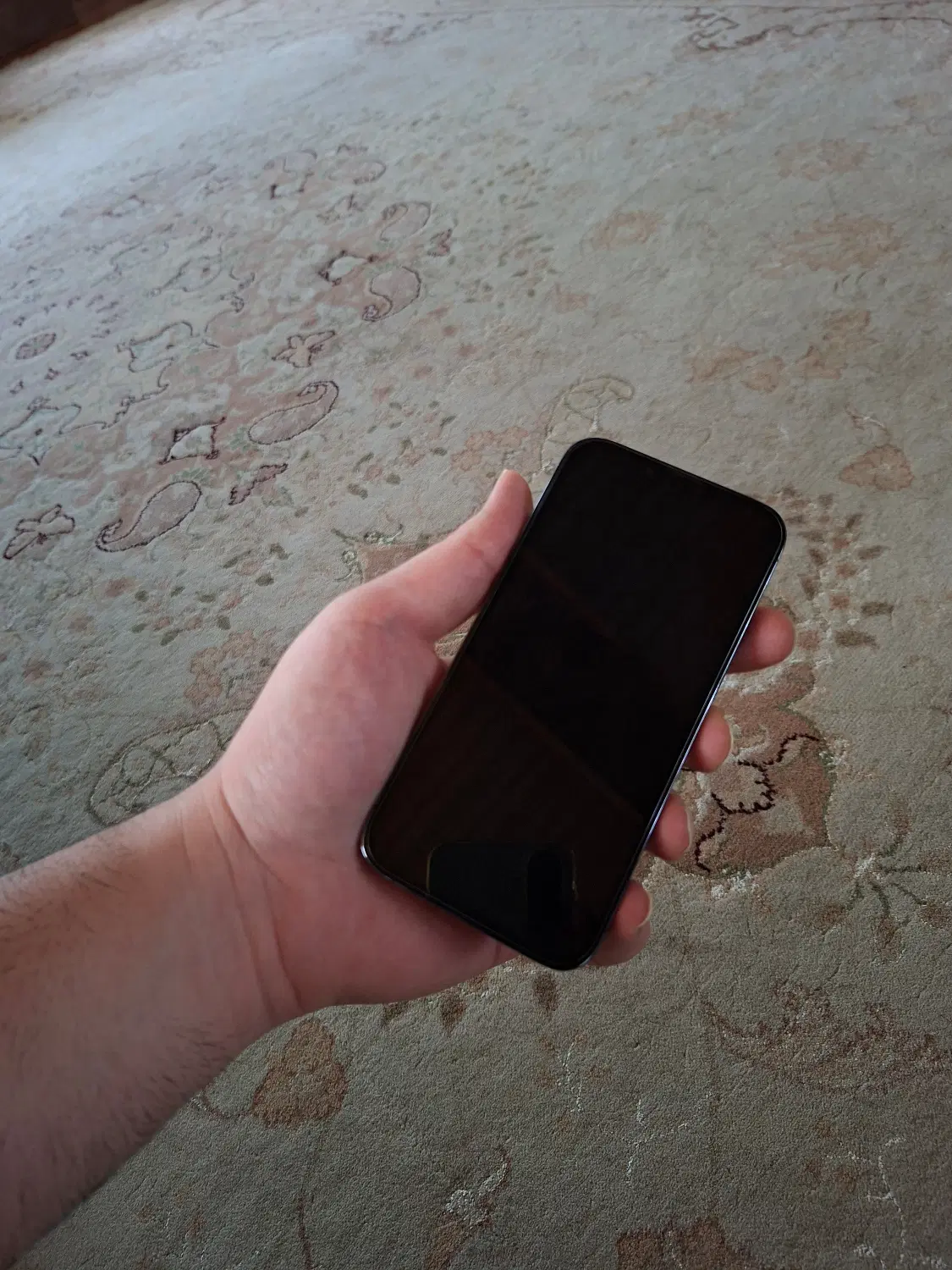 IPhone 13pro 256|موبایل|آمل, |دیوار