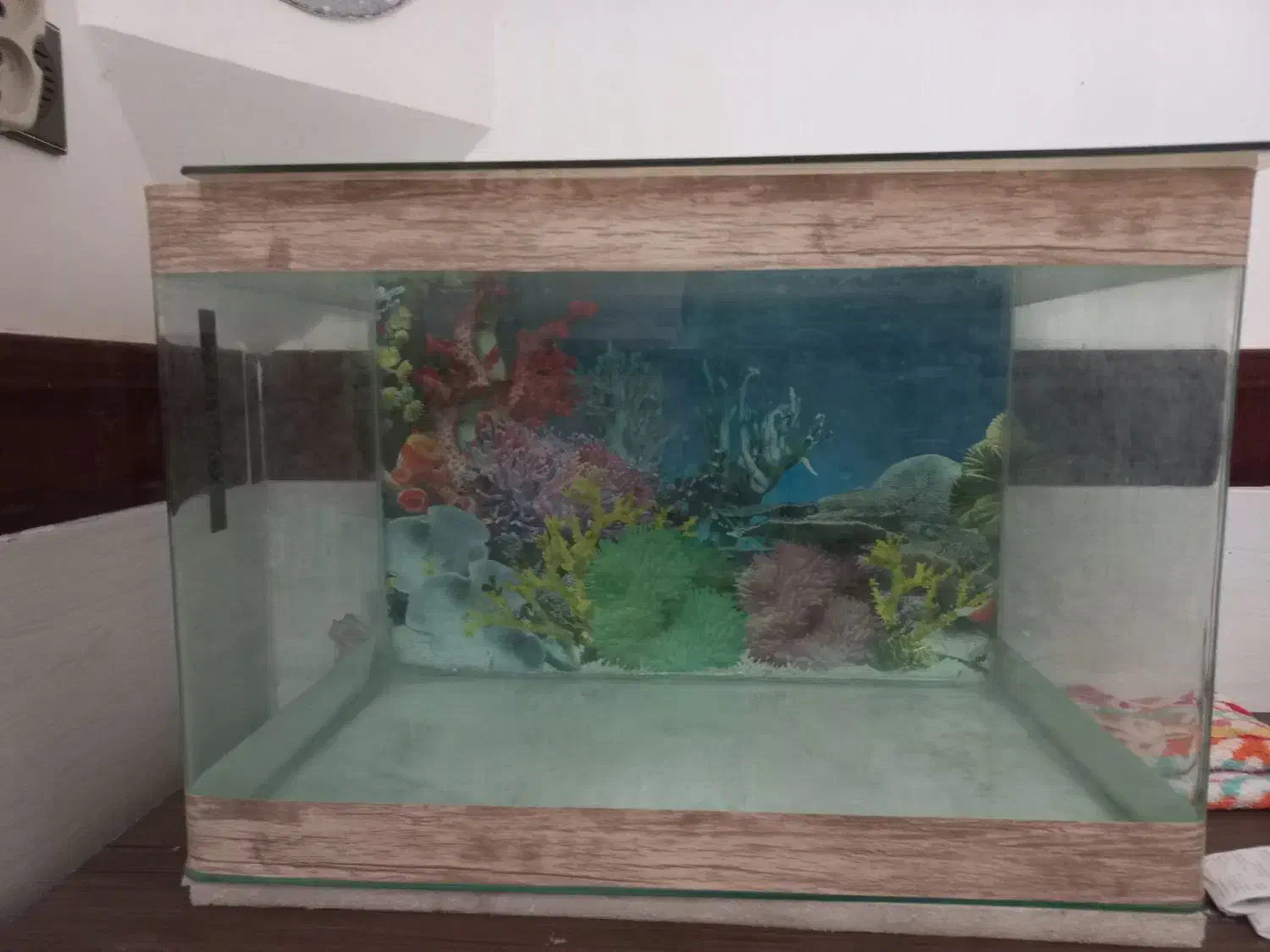 آکواریوم با لوازم|ماهی|بیرجند, |دیوار