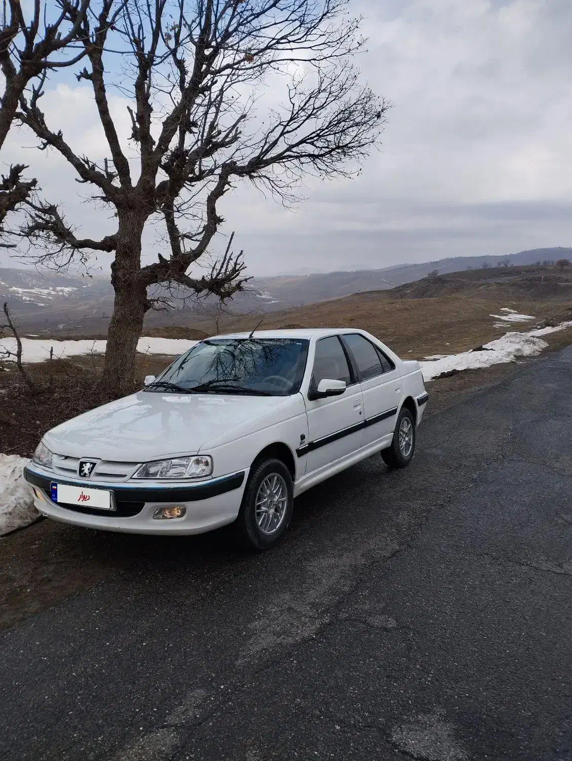 پژوپارس|خودرو سواری و وانت|بانه, |دیوار