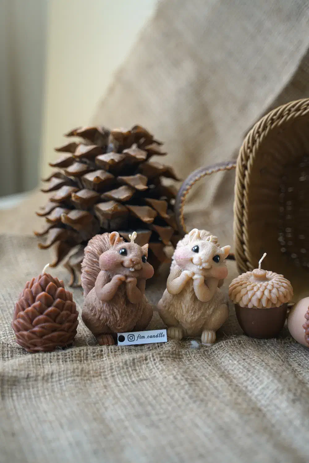 شمع تزئینی سنجاب،بلوط،کاج|صنایع دستی و سایر لوازم تزئینی|کرج, حصارک بالا|دیوار