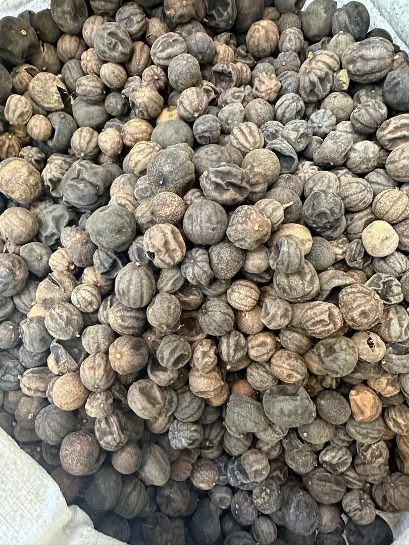 لیمو عمانی|خوردنی و آشامیدنی|کازرون, |دیوار