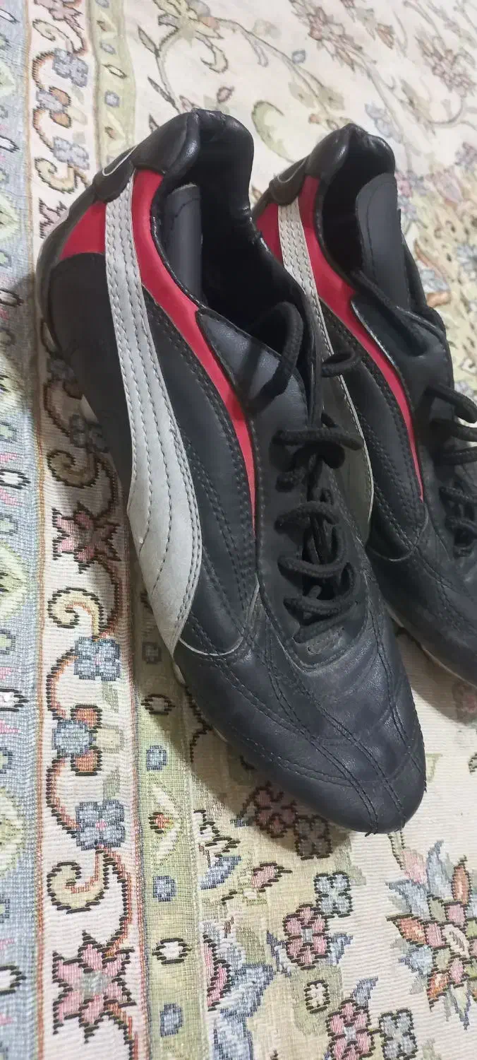 کفش فوتبالی ،چمن|کیف، کفش، کمربند|مشهد, شهید قربانی|دیوار