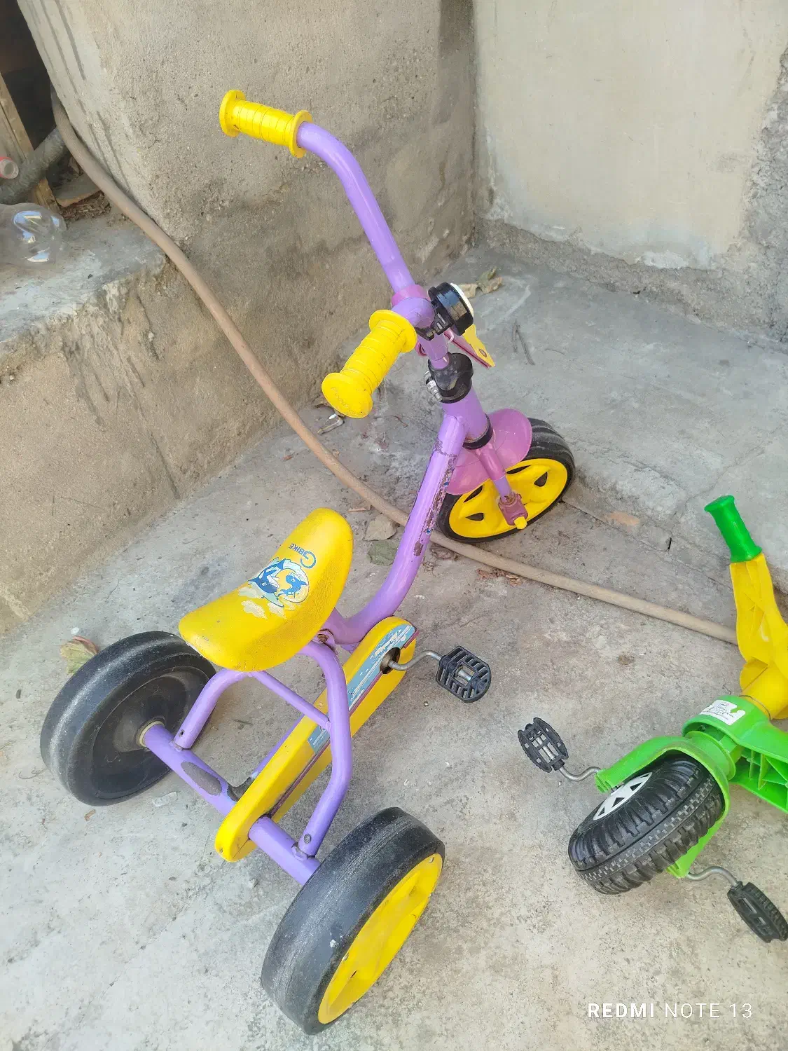 سه چرخه|دوچرخه، اسکیت، اسکوتر|گنبد کاووس, |دیوار