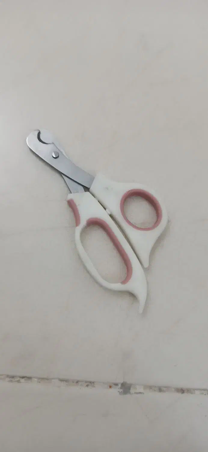 وسایل خونگی مخصوص سگ و گربه|لوازم جانبی حیوانات|کرمان, |دیوار