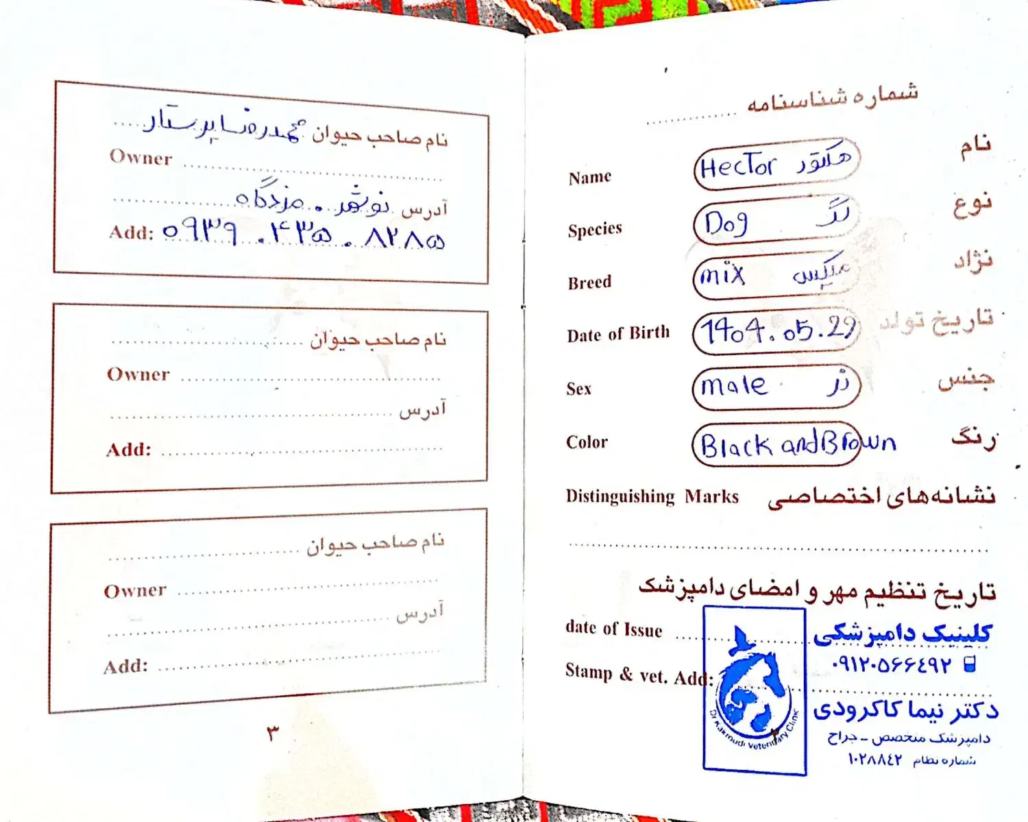 واگذاری سگ ماده|سگ|نوشهر, |دیوار