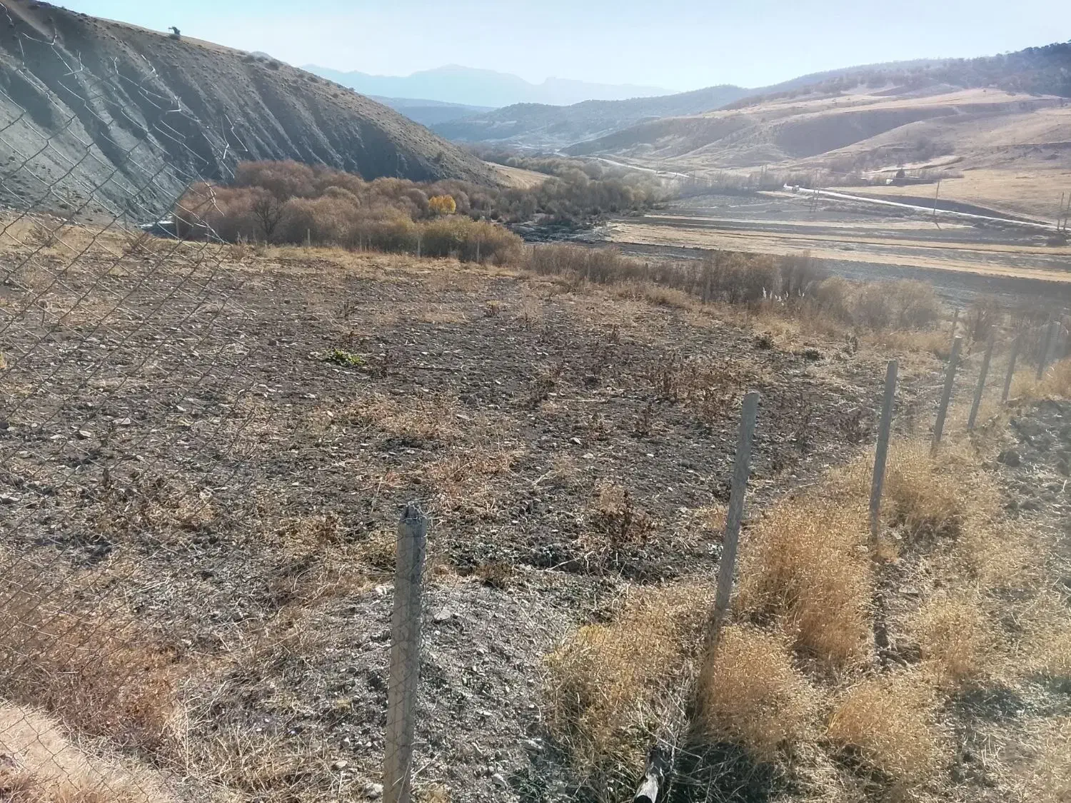 فروش زمین|فروش دفتر صنعتی، کشاورزی، تجاری|الشتر, |دیوار