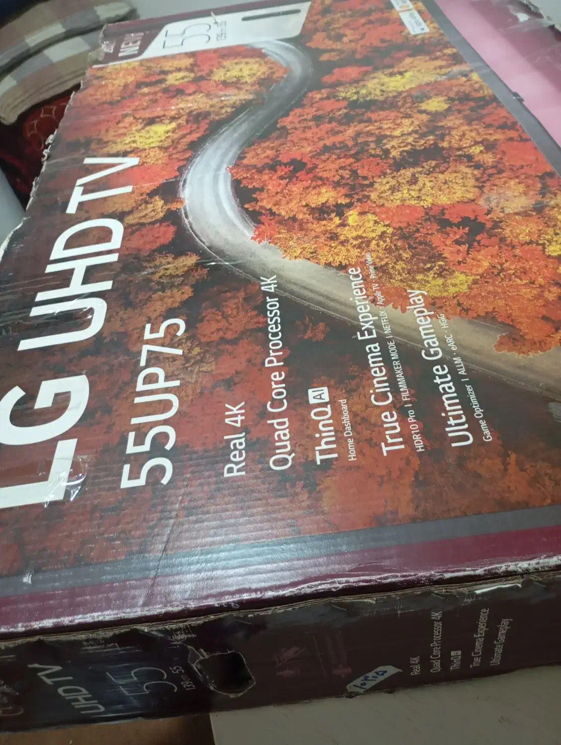 کارتون تلویزیون 55اینچ|تلویزیون و پروژکتور|بندر گناوه, |دیوار