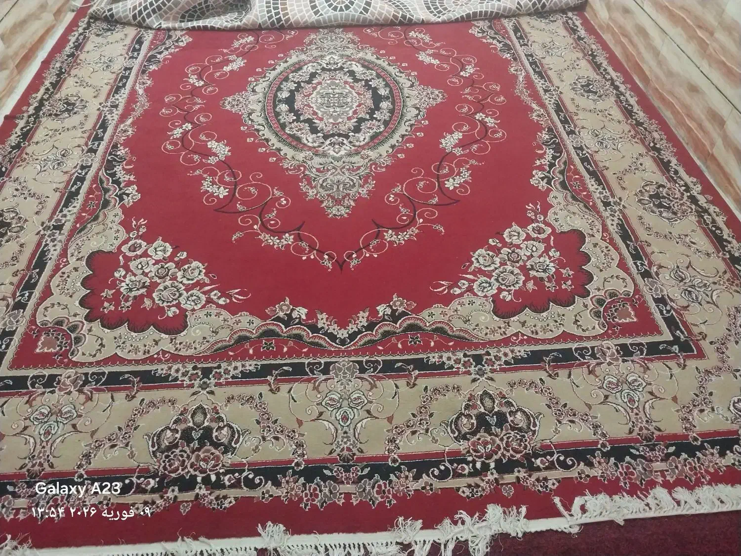 قالی ۱۲ متری|فرش|بندر ماهشهر, |دیوار