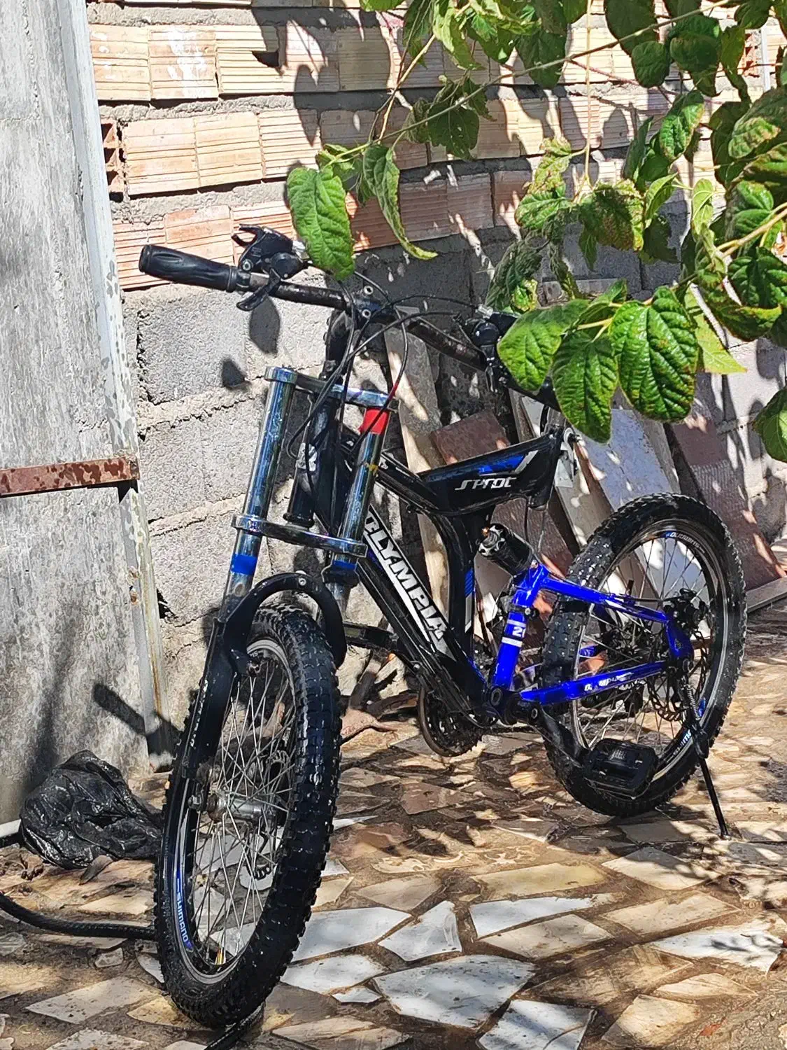 دوچرخه|دوچرخه، اسکیت، اسکوتر|نرماشیر, |دیوار