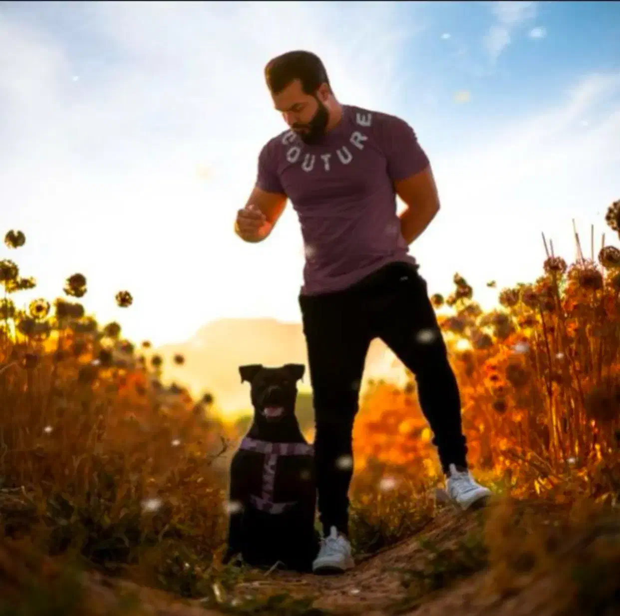 مربی سگ|خدمات آموزشی|اصفهان, بهارستان|دیوار