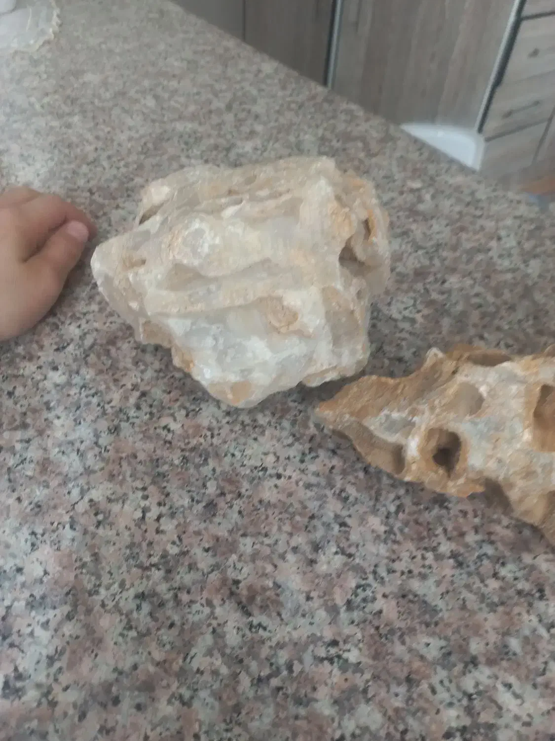 سنگ‌اکواریومی|ماهی|همدان, |دیوار