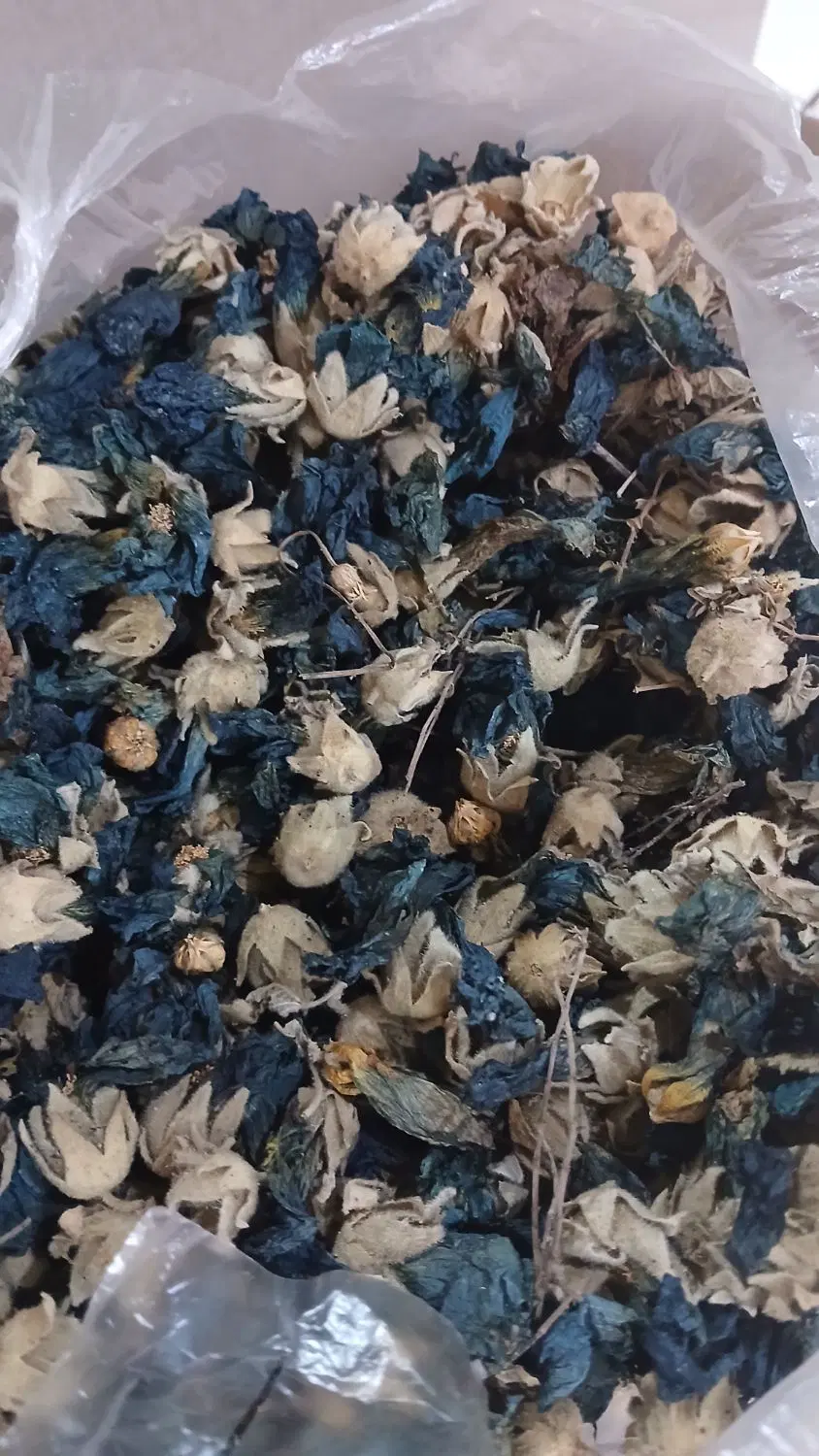 چای کوهی ،آویشن ،بابونه ، گل ختمی کوهی|خوردنی و آشامیدنی|تهران, دریا|دیوار