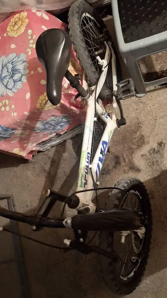 فروش دوچرخه|دوچرخه، اسکیت، اسکوتر|مرند, |دیوار