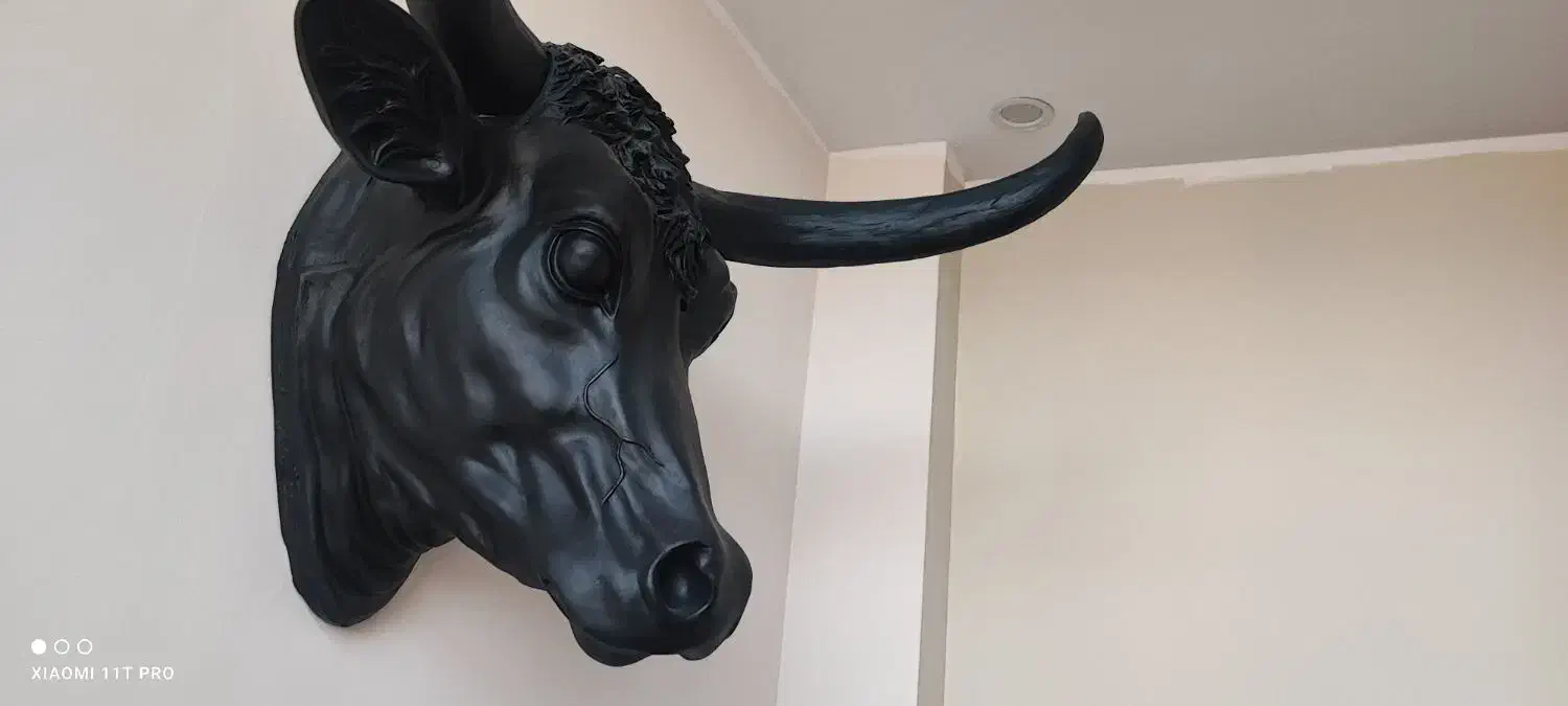 مجسمه گاو بوفالو فایبرگلاس|مجسمه، تندیس، ماکت|قزوین, |دیوار