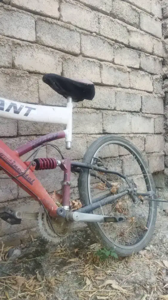 فروشی|دوچرخه، اسکیت، اسکوتر|فیروزآباد (فارس), |دیوار