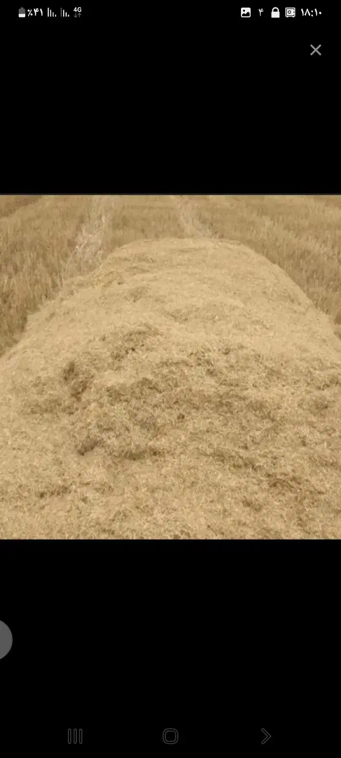 کاه تمیز|لوازم جانبی حیوانات|طاغنکوه, |دیوار