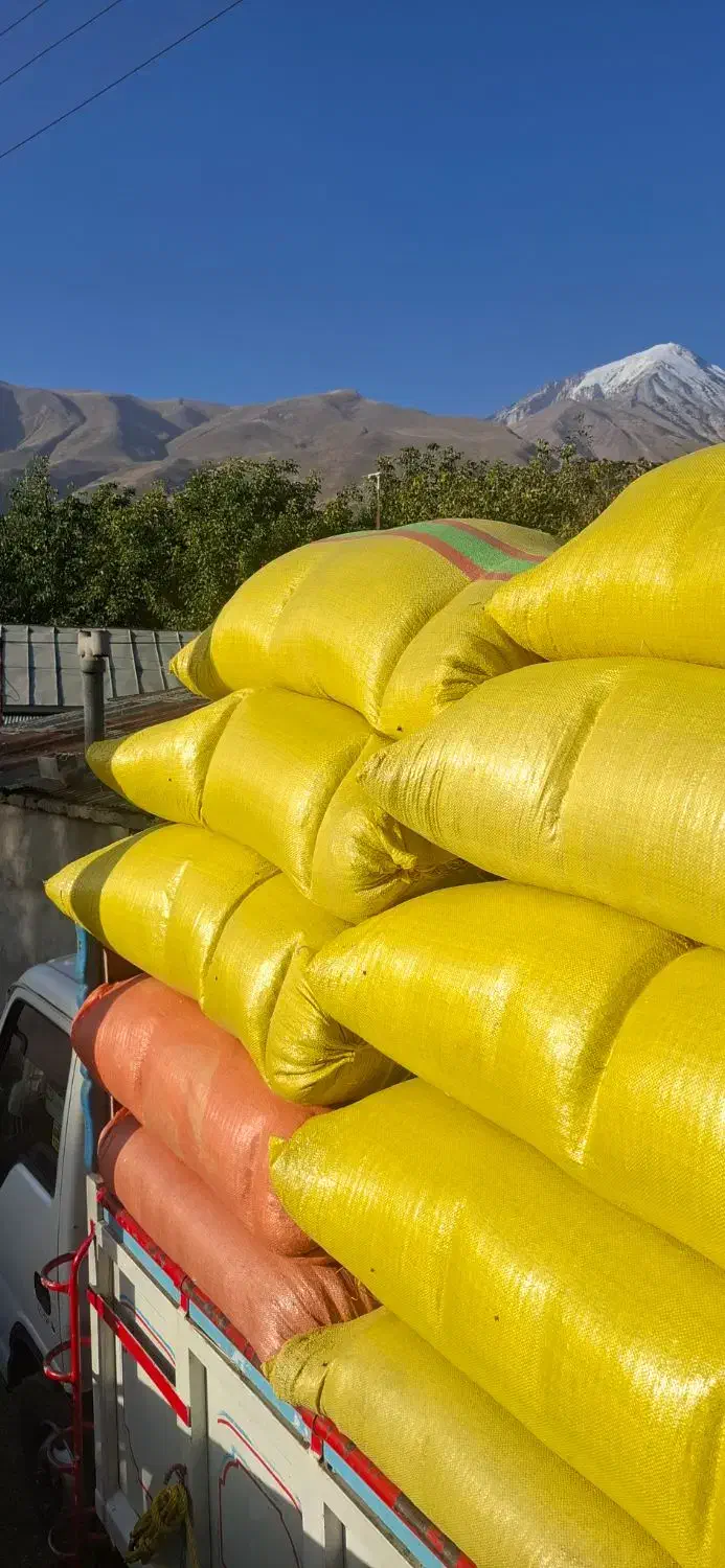 درجه یک کاه درجه یک|لوازم جانبی حیوانات|گلپایگان, |دیوار