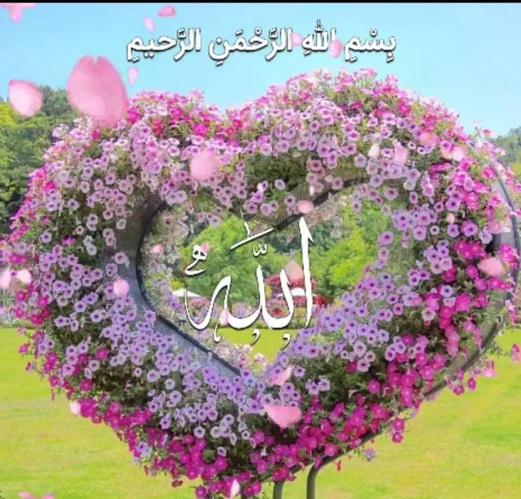 فروش گلخانه و سردخانه از نیم تا ۳ هکتار|فروش دفتر صنعتی، کشاورزی، تجاری|دزفول, |دیوار