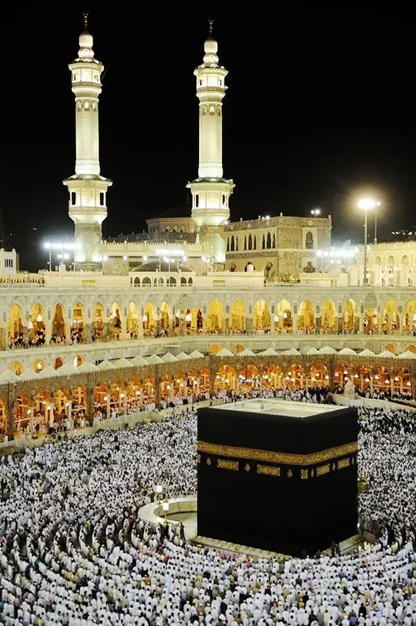 فروش فیش حج تمتع 85|تور و چارتر|جوانرود, |دیوار