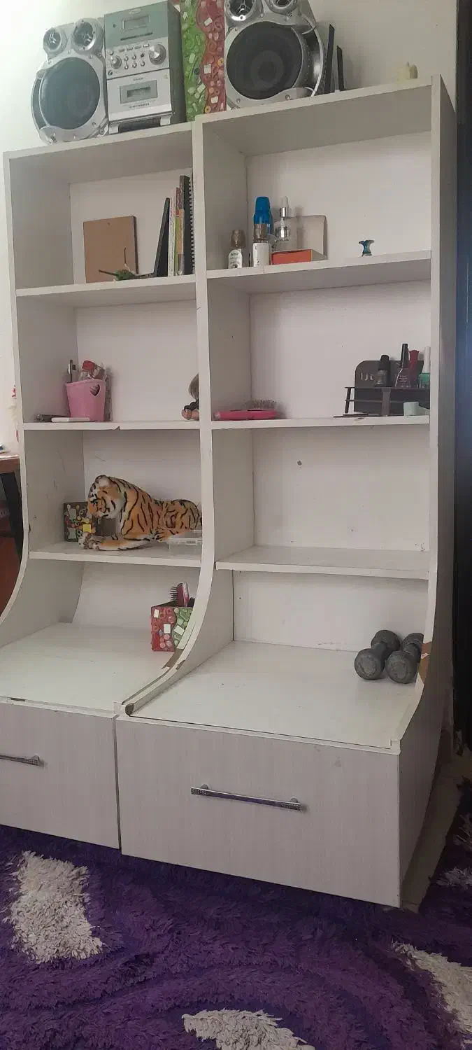 کتاب خانه|کتابخانه، شلف، قفسه‌های دیواری|رشت, سعدی (تختی)|دیوار