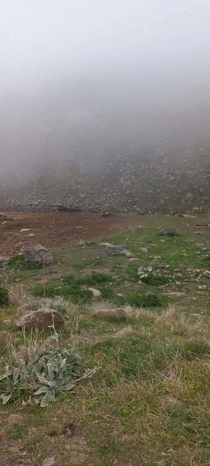 گرفتار|فعالیت داوطلبانه|خلخال, |دیوار