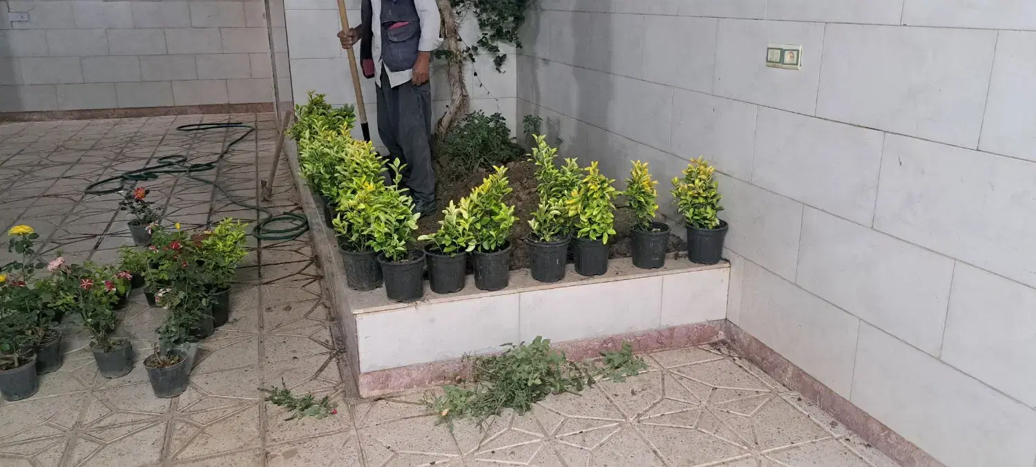 باغبانی گل کاری حرص سمپاشی|خدمات باغبانی و درختکاری|مشهد, هفده شهریور|دیوار
