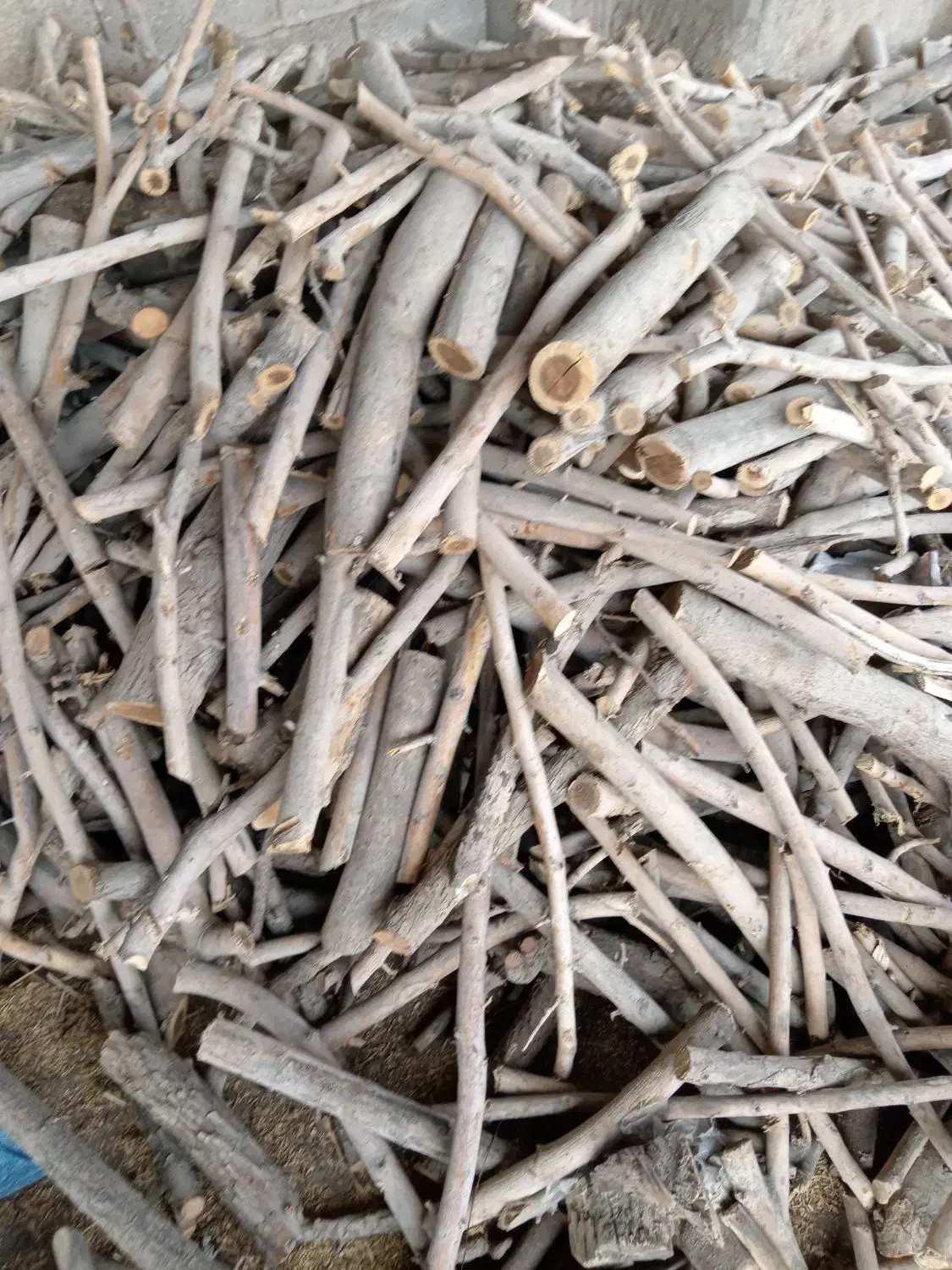 چوب خرید چوب فقط خشک|خدمات باغبانی و درختکاری|نجفآباد, یزدانشهر|دیوار