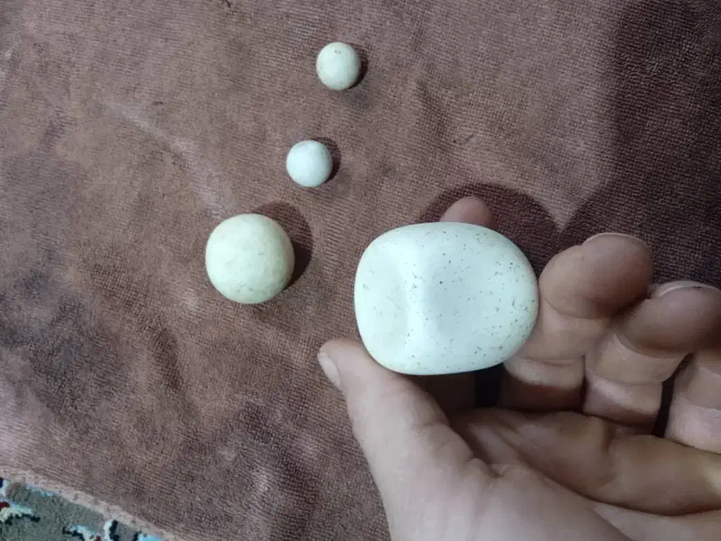 سنگ های مختلف|جواهرات|خوی, |دیوار