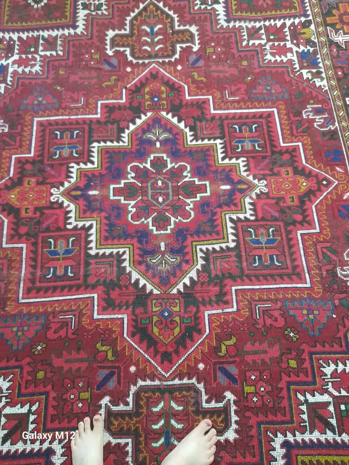 فرش چشمه زان|فرش|ورزقان, |دیوار