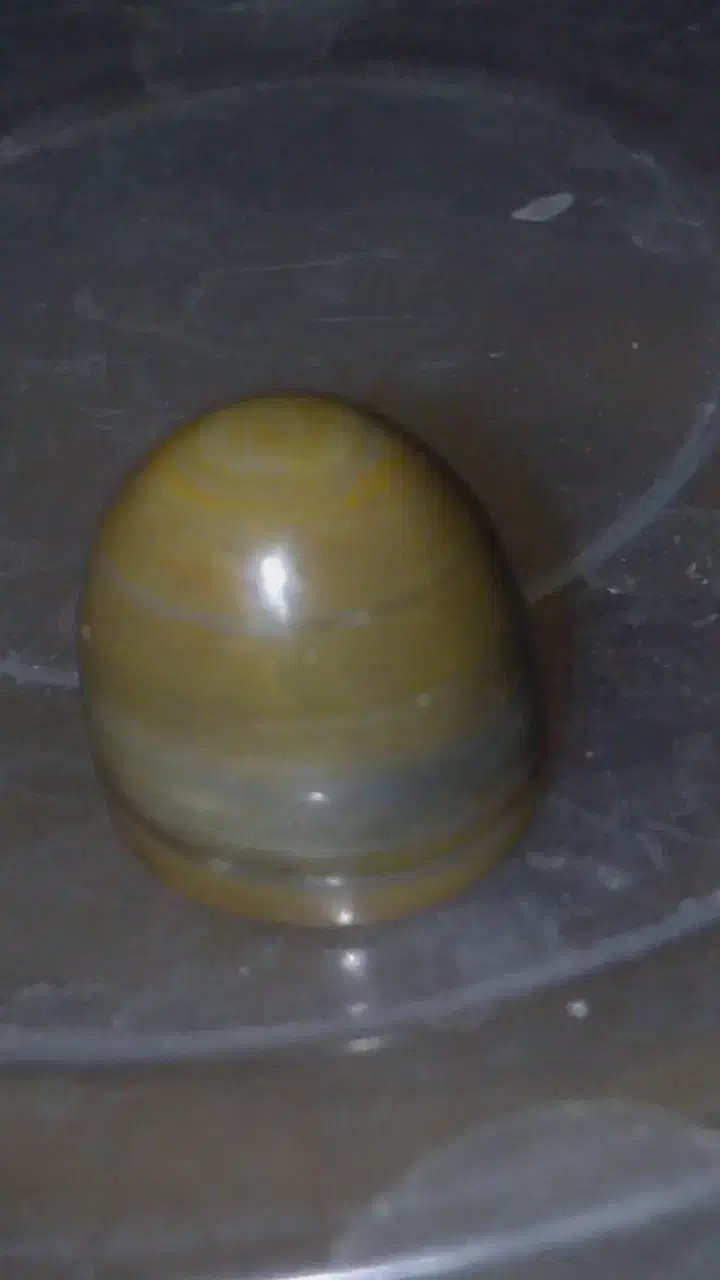 عتیقه|کلکسیون اشیاء عتیقه|قم, گلزار|دیوار