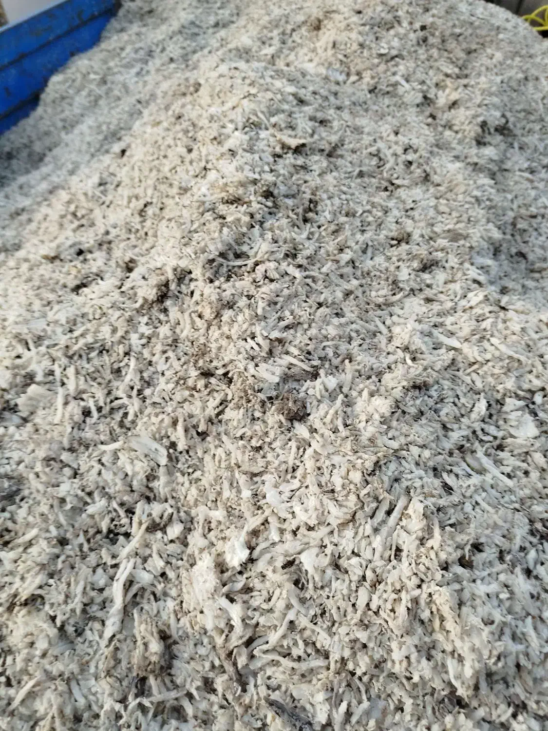 تفاله چغندر پرسی (دونم) وخشک|لوازم جانبی حیوانات|شیروان (خراسان), |دیوار