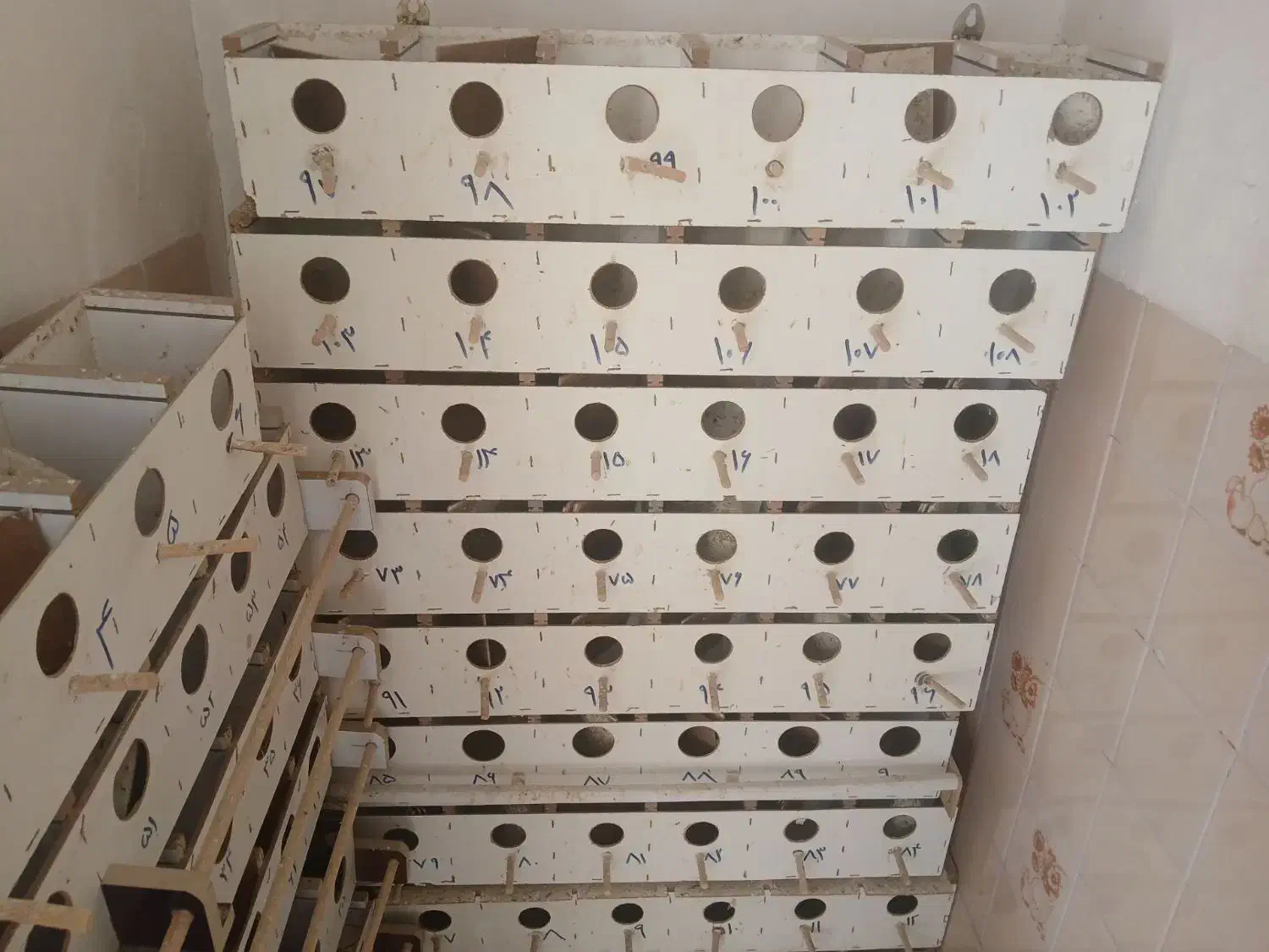 لانه پرنده|لوازم جانبی حیوانات|نیشابور, محله میدان باغات|دیوار