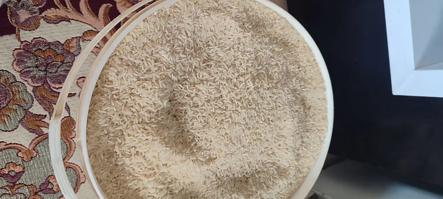 برنج سالو ونیم دانه طارم رودبار|خوردنی و آشامیدنی|کوهدشت, |دیوار