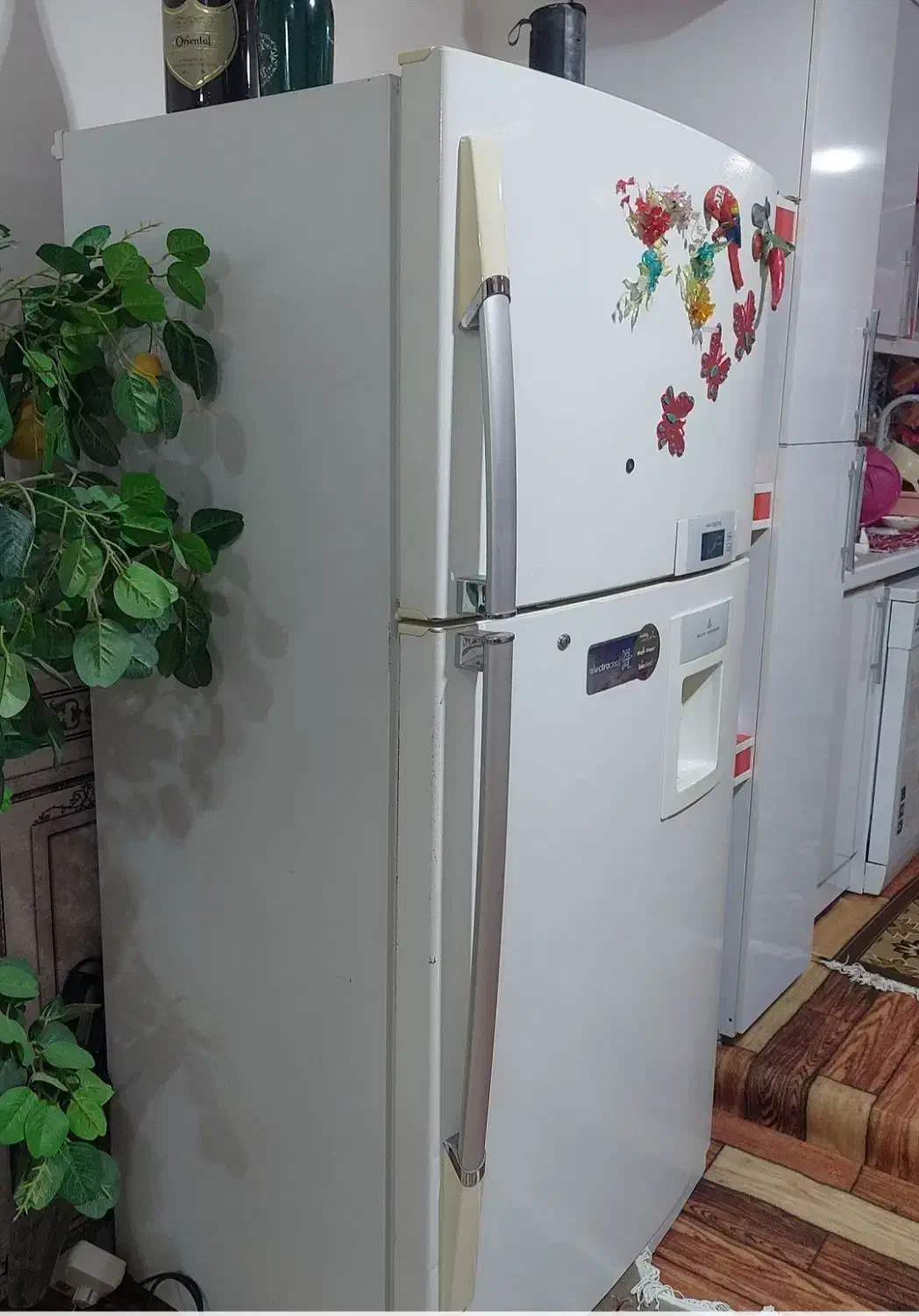 یخچال ال جی|یخچال و فریزر|چابهار, |دیوار