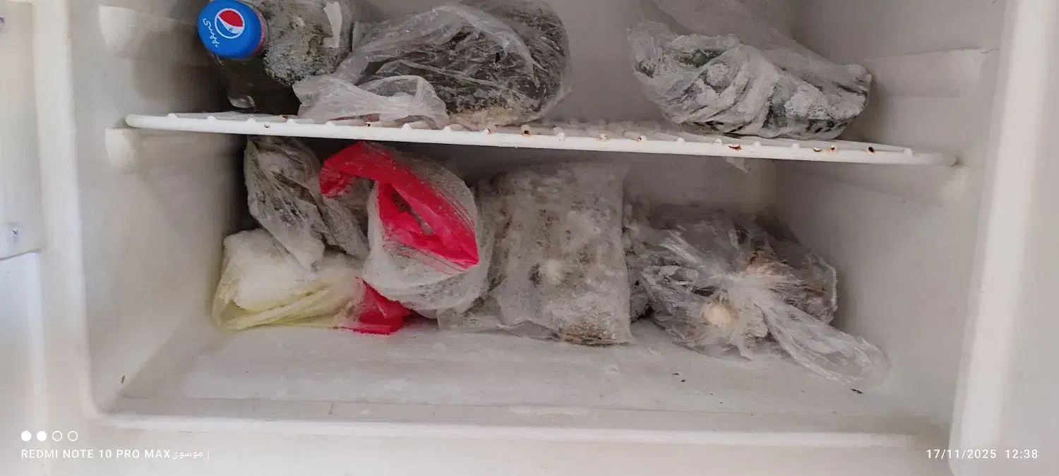 فروش یخچال وفریزر|یخچال و فریزر|الیگودرز, |دیوار