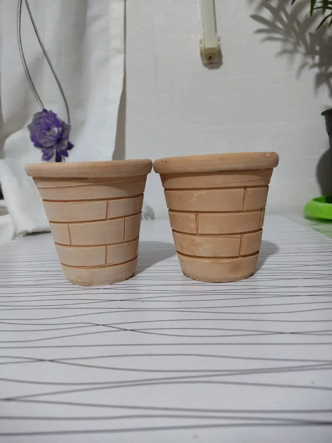 گلدان سفالی کوچک|گل و گیاه طبیعی|کاشان, شهرک خاتم الانبیا (مسکن ملی کاشان)|دیوار