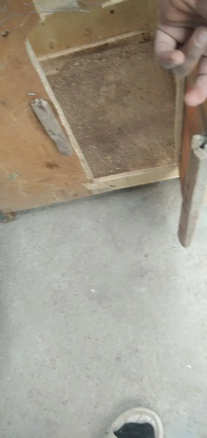 قفس مرغ و خروس|حیوانات مزرعه|بناب, |دیوار