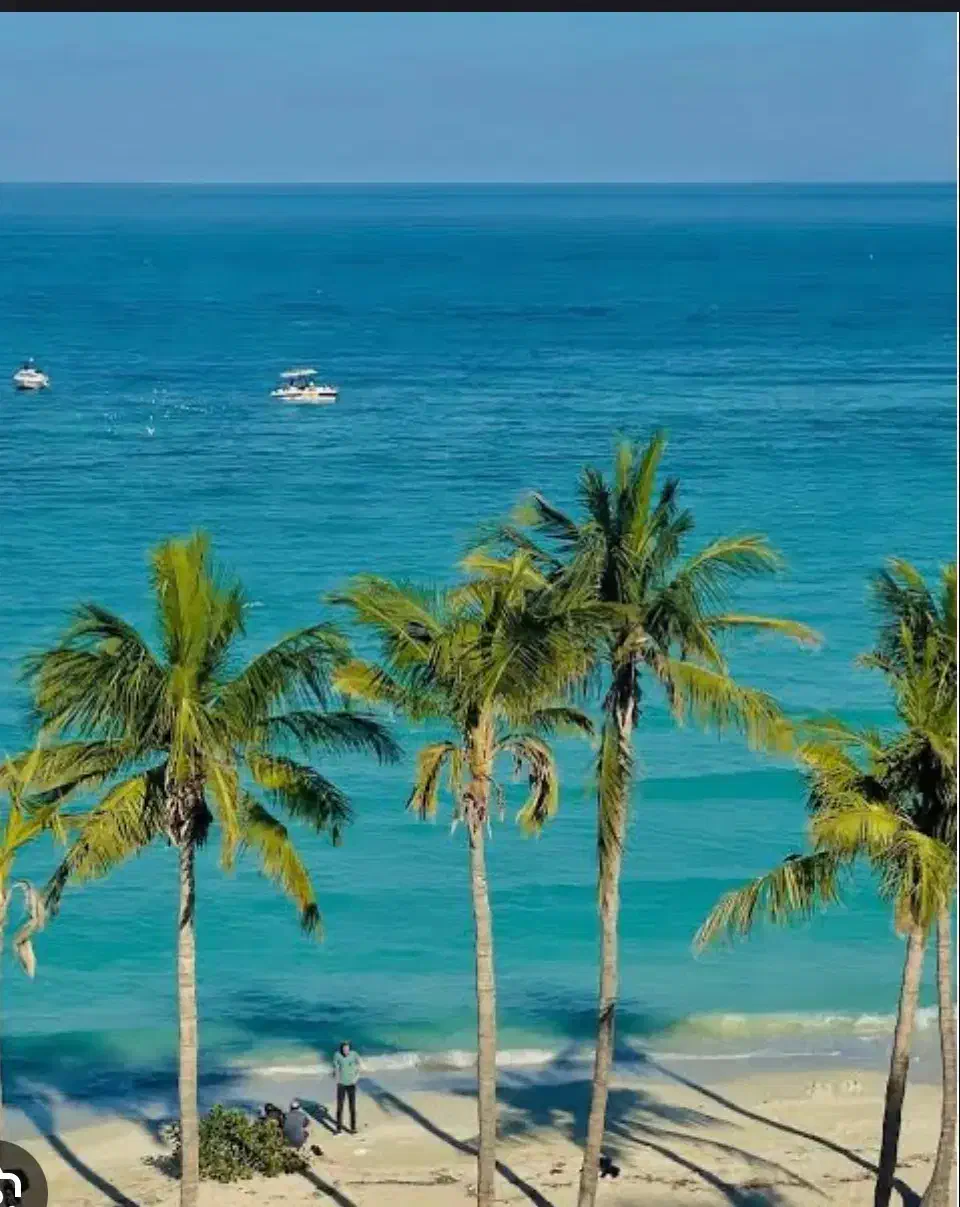 همسفر برای کیش|فعالیت داوطلبانه|فولادشهر, مسکن مهر فولادشهر|دیوار