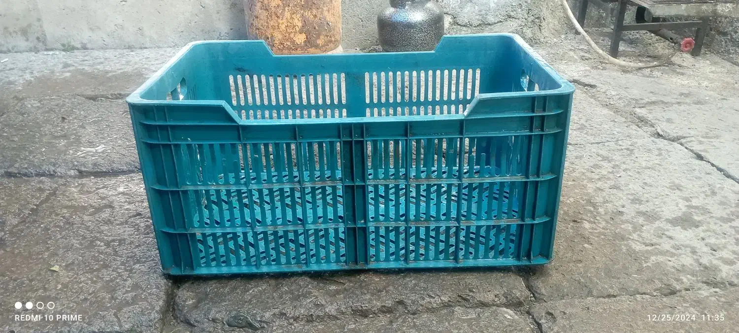 جعبه پلاستیکی بزرگ|ظروف نگهدارنده، پلاستیکی، یک‌بارمصرف|مریوان, |دیوار