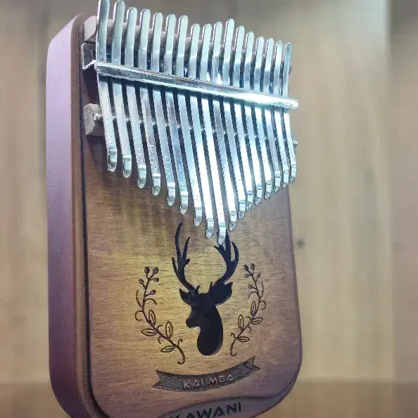 کالیمبا اورجینال|سازهای سنتی|رباط‌کریم, رباط‌کریم|دیوار