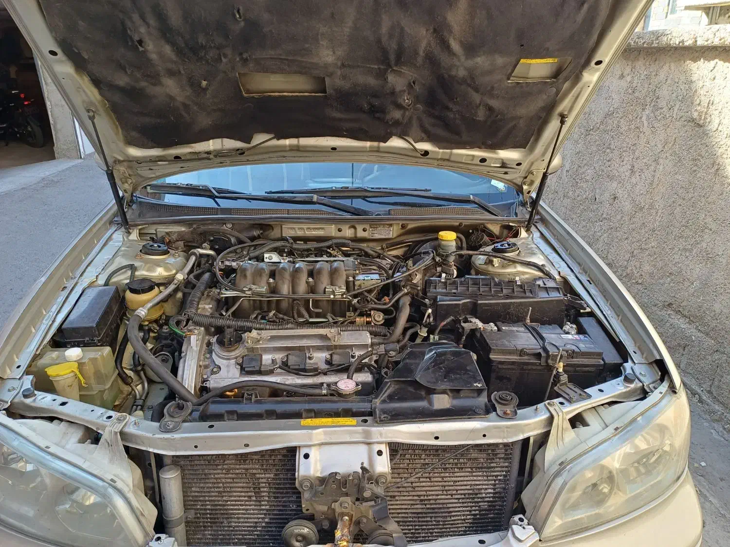 ماکسیما اتومات مدل۸۳|خودرو سواری و وانت|تهران, شهر زیبا|دیوار