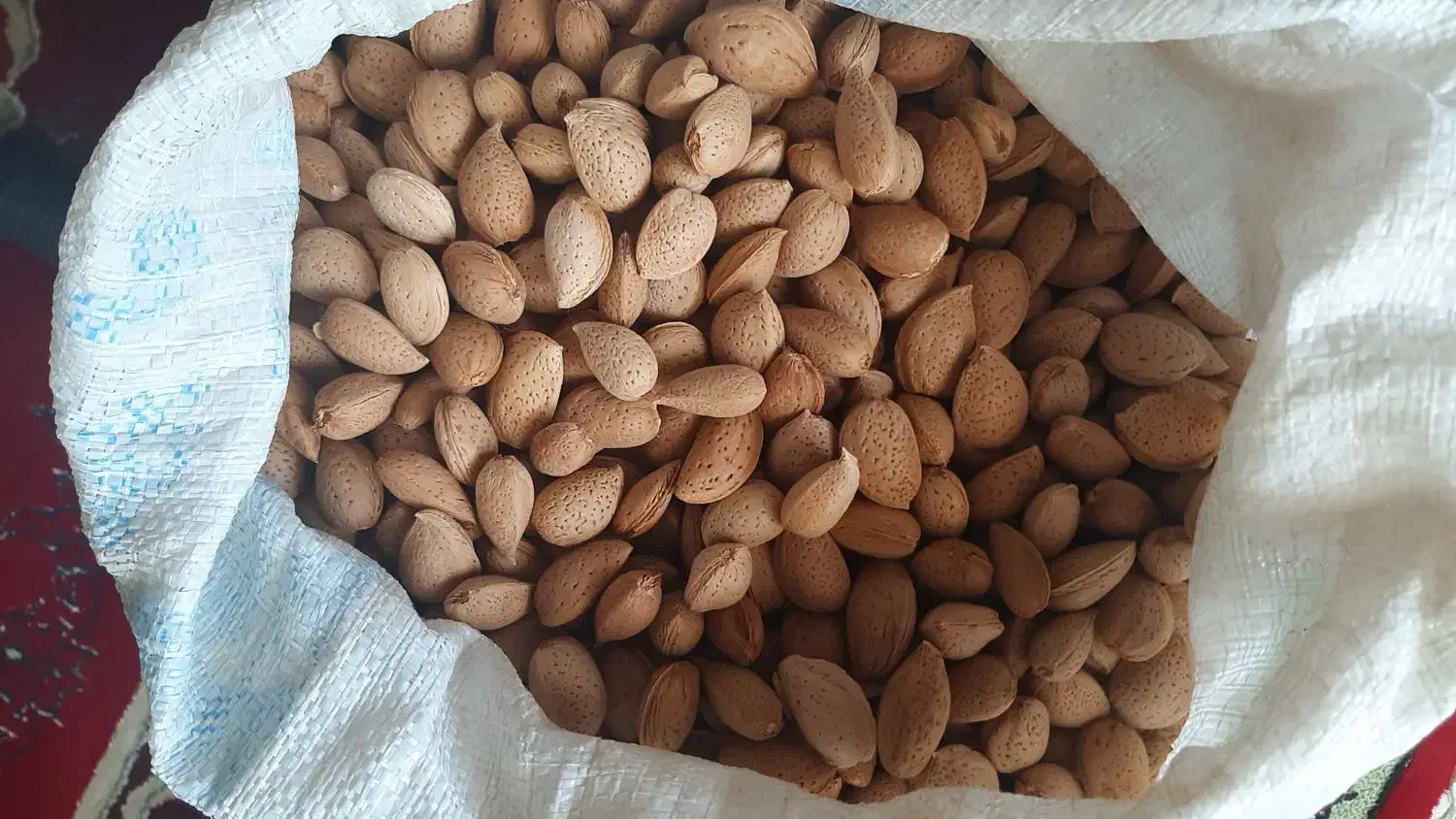 بادام|خوردنی و آشامیدنی|شیراز, قصرالدشت|دیوار