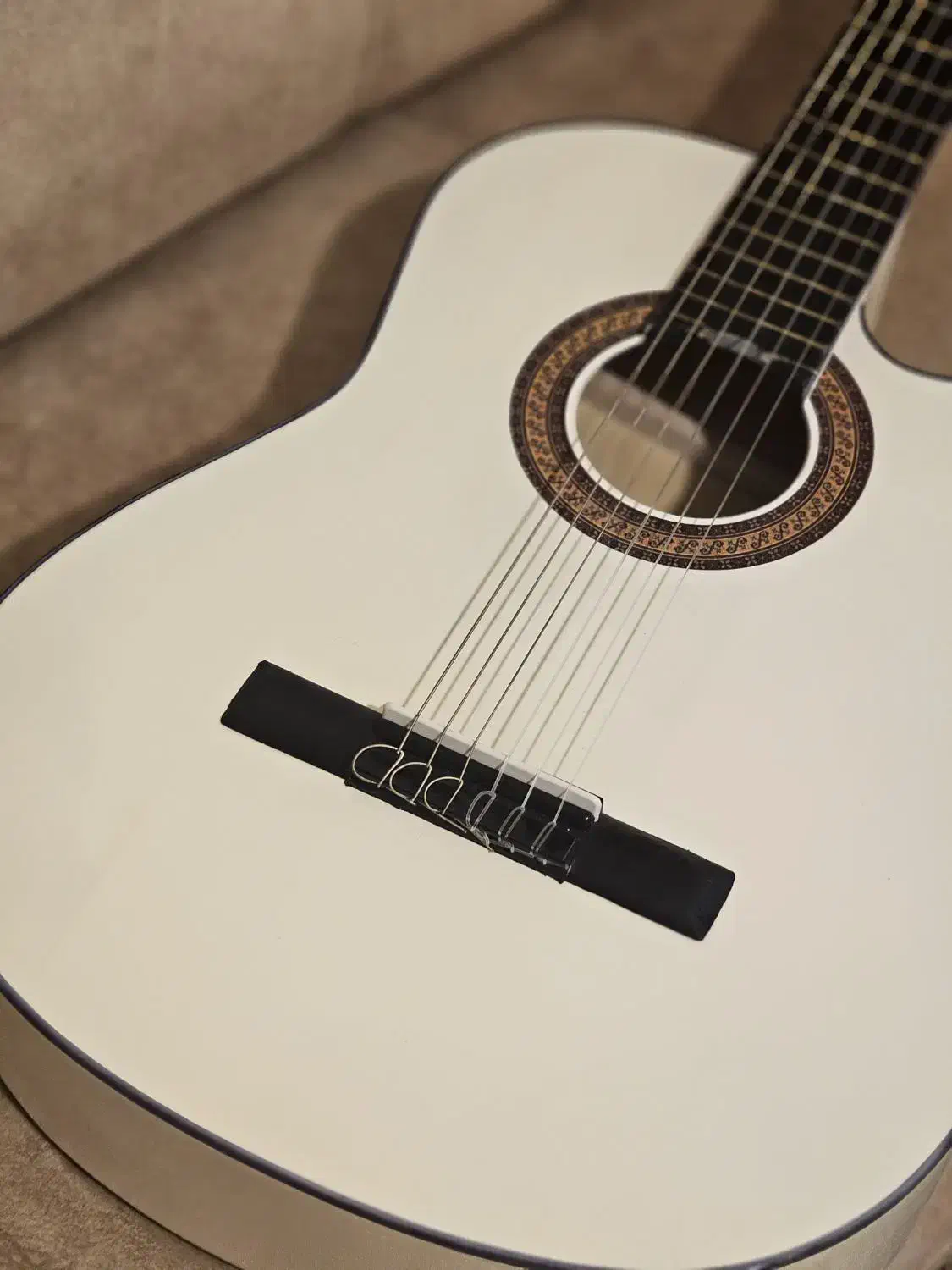 گیتار با کف قیمت|گیتار، بیس، امپلیفایر|رشت, چله خانه|دیوار