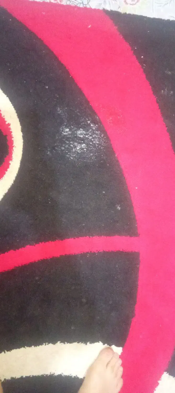 فرش آشپزخانه|فرش|بهارستان, |دیوار