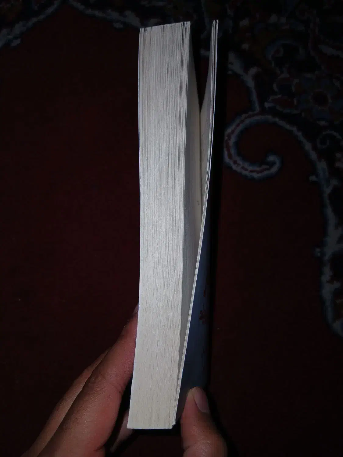 رمان جنایی|کتاب و مجله ادبی|قم, وادی السلام|دیوار